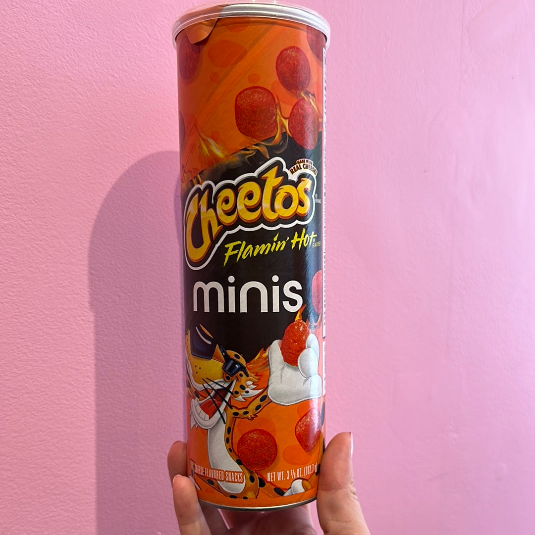 Salty Snack Minis - NEW